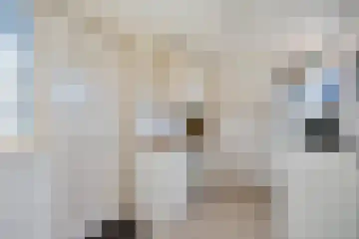 Hoofdweg 11 Nijensleek thumbnail 13