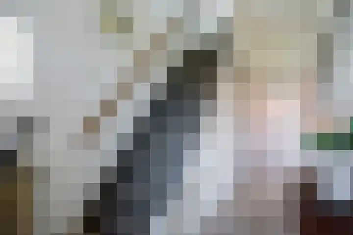 Hoofdweg 11 Nijensleek thumbnail 14