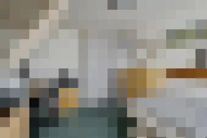 Hoofdweg 11 Nijensleek thumbnail 18