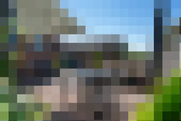 Hoofdweg 11 Nijensleek thumbnail 25