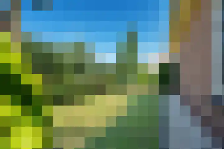 Hoofdweg 11 Nijensleek thumbnail 27