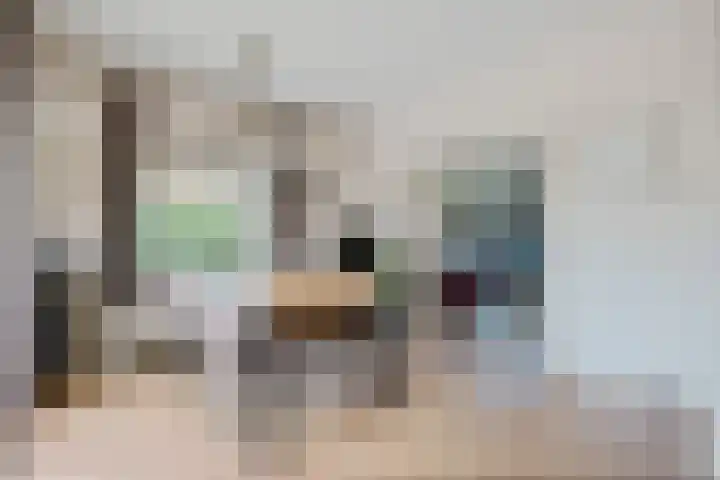 Hoofdweg 11 Nijensleek thumbnail 8