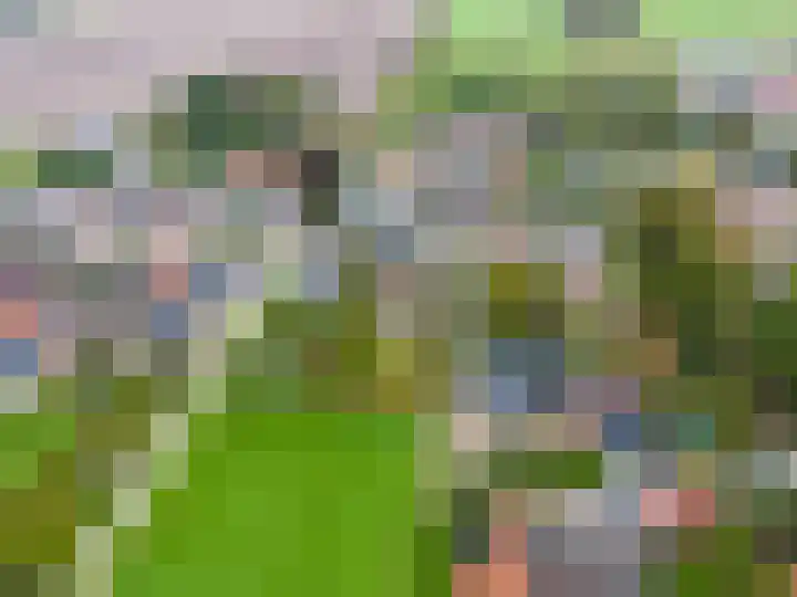 Hoofdweg 11 Siddeburen thumbnail 12