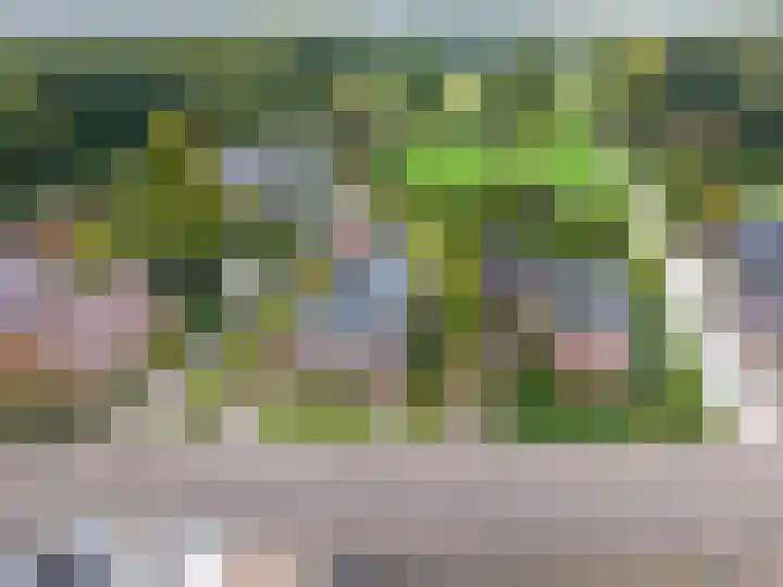 Hoofdweg 11 Siddeburen thumbnail 15