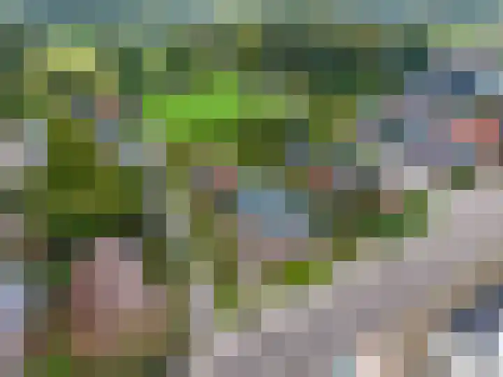 Hoofdweg 11 Siddeburen thumbnail 19