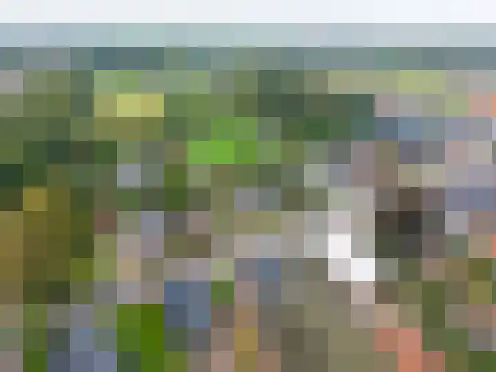Hoofdweg 11 Siddeburen thumbnail 20