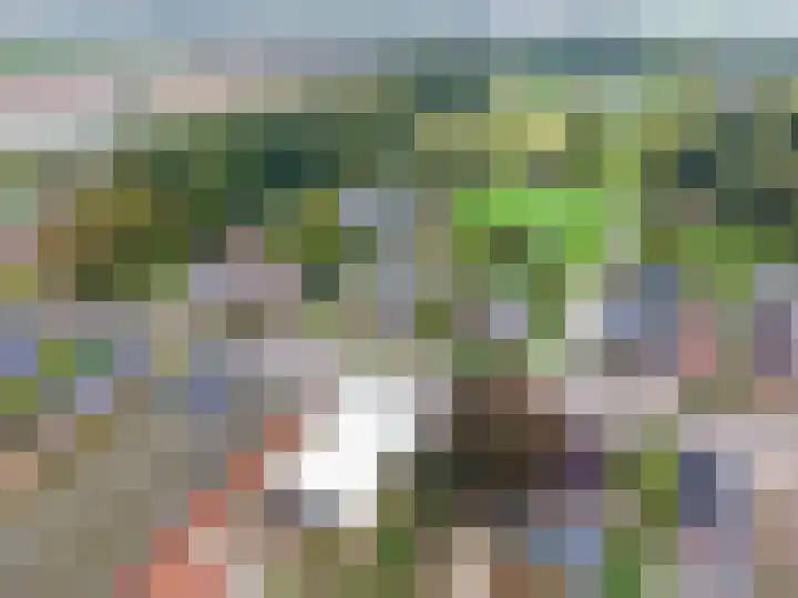Hoofdweg 11 Siddeburen thumbnail 21