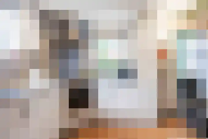 Hoofdweg 11 Siddeburen thumbnail 38