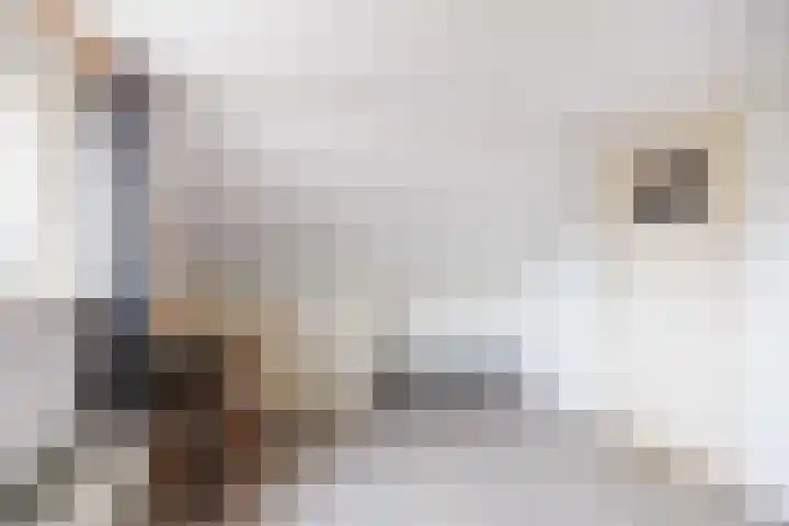 Hoofdweg 11 Siddeburen thumbnail 55