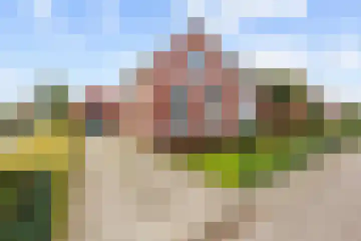 Hoofdweg 11 Siddeburen thumbnail 62
