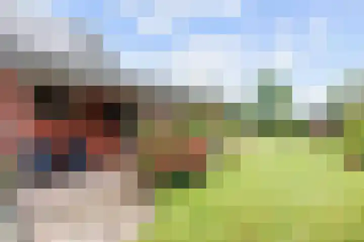 Hoofdweg 11 Siddeburen thumbnail 69