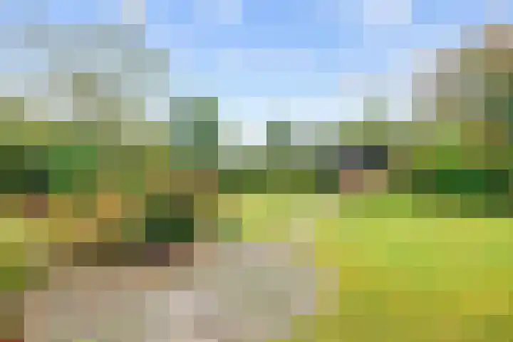 Hoofdweg 11 Siddeburen thumbnail 75