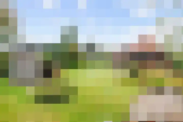 Hoofdweg 11 Siddeburen thumbnail 77