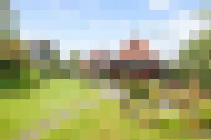 Hoofdweg 11 Siddeburen thumbnail 78