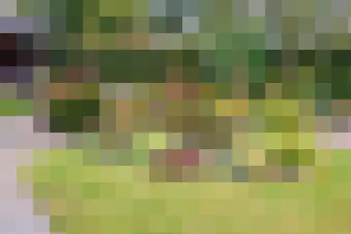 Hoofdweg 11 Siddeburen thumbnail 79