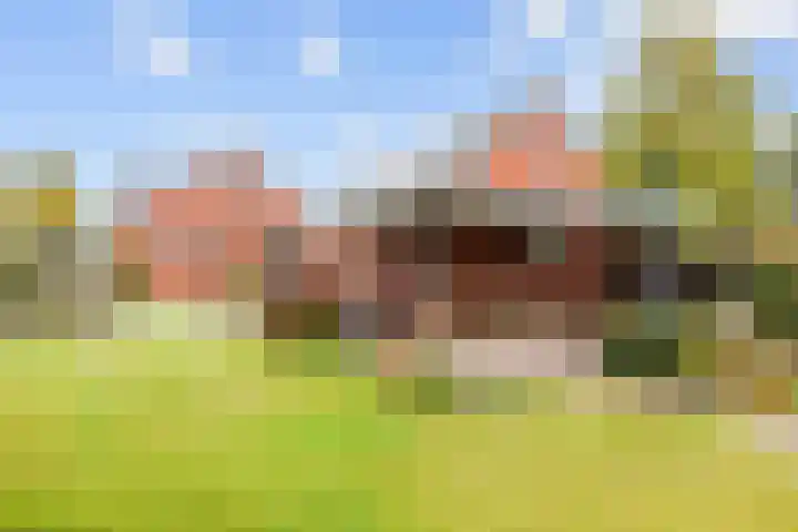 Hoofdweg 11 Siddeburen thumbnail 81