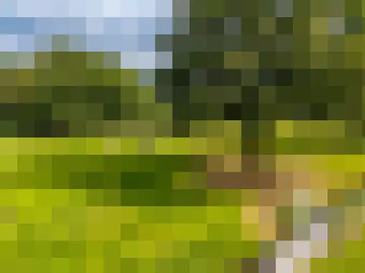 Hoofdweg 11 Zeegse thumbnail 10