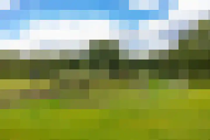 Hoofdweg 11 Zeegse thumbnail 11
