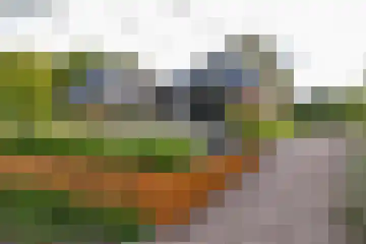 Hoofdweg 11 Zeegse thumbnail 12