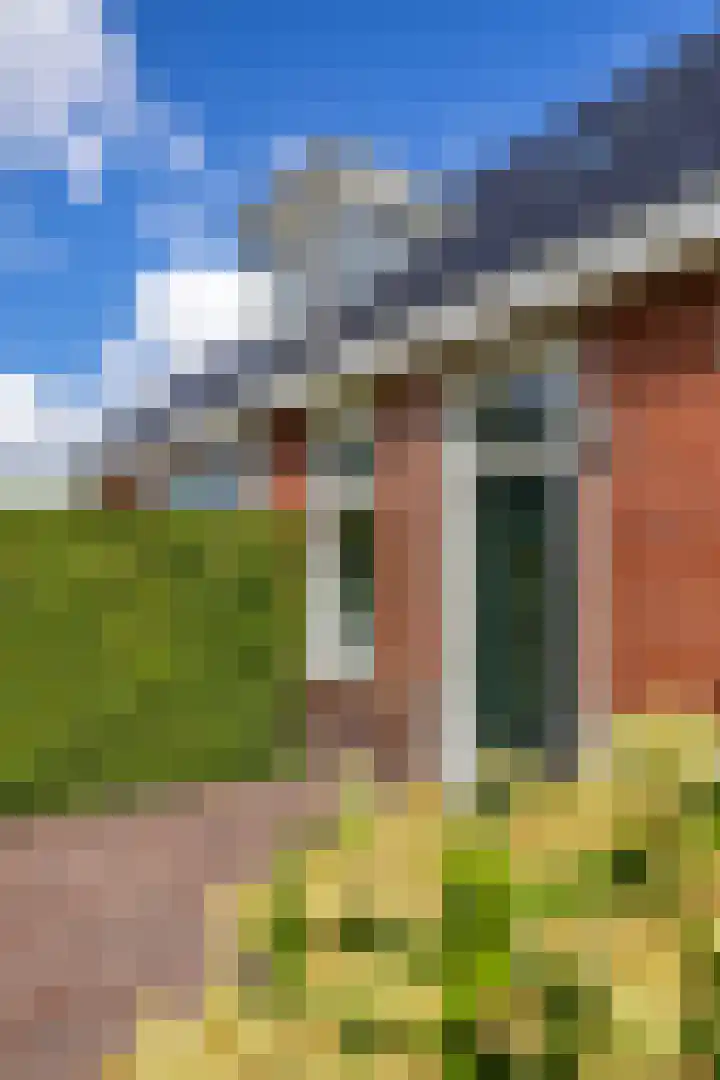Hoofdweg 11 Zeegse thumbnail 17