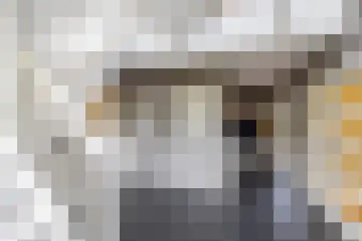 Hoofdweg 11 Zeegse thumbnail 19