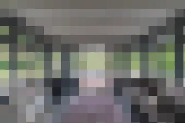 Hoofdweg 11 Zeegse thumbnail 20
