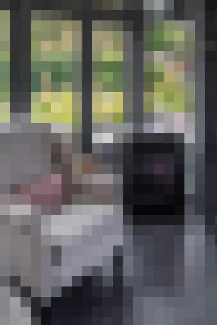 Hoofdweg 11 Zeegse thumbnail 22