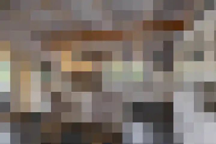 Hoofdweg 11 Zeegse thumbnail 23