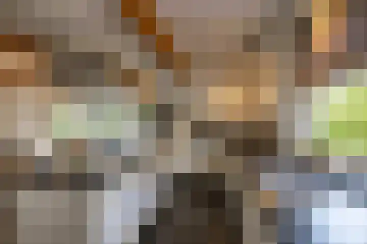 Hoofdweg 11 Zeegse thumbnail 24