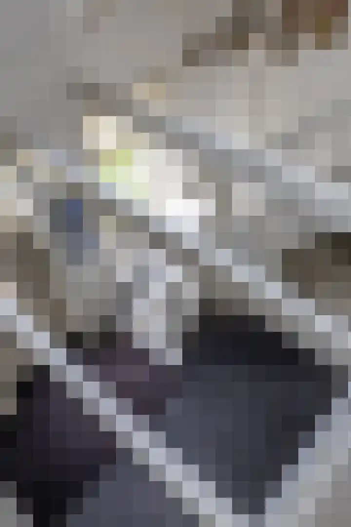 Hoofdweg 11 Zeegse thumbnail 33