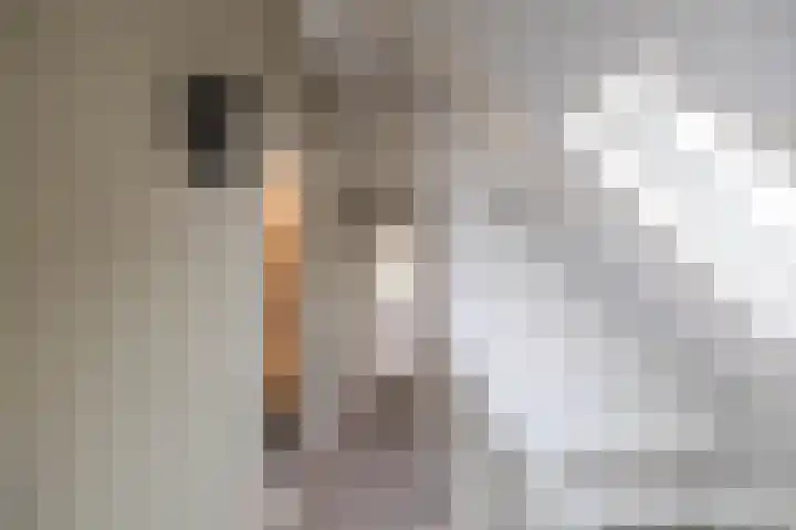 Hoofdweg 11 Zeegse thumbnail 34