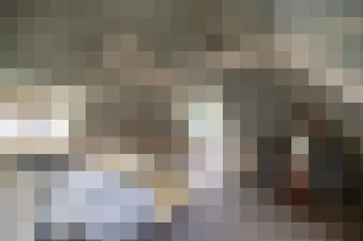Hoofdweg 11 Zeegse thumbnail 35