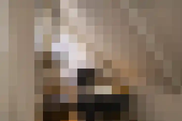 Hoofdweg 11 Zeegse thumbnail 43
