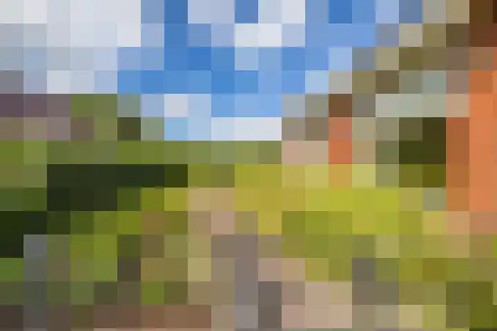Hoofdweg 11 Zeegse thumbnail 5