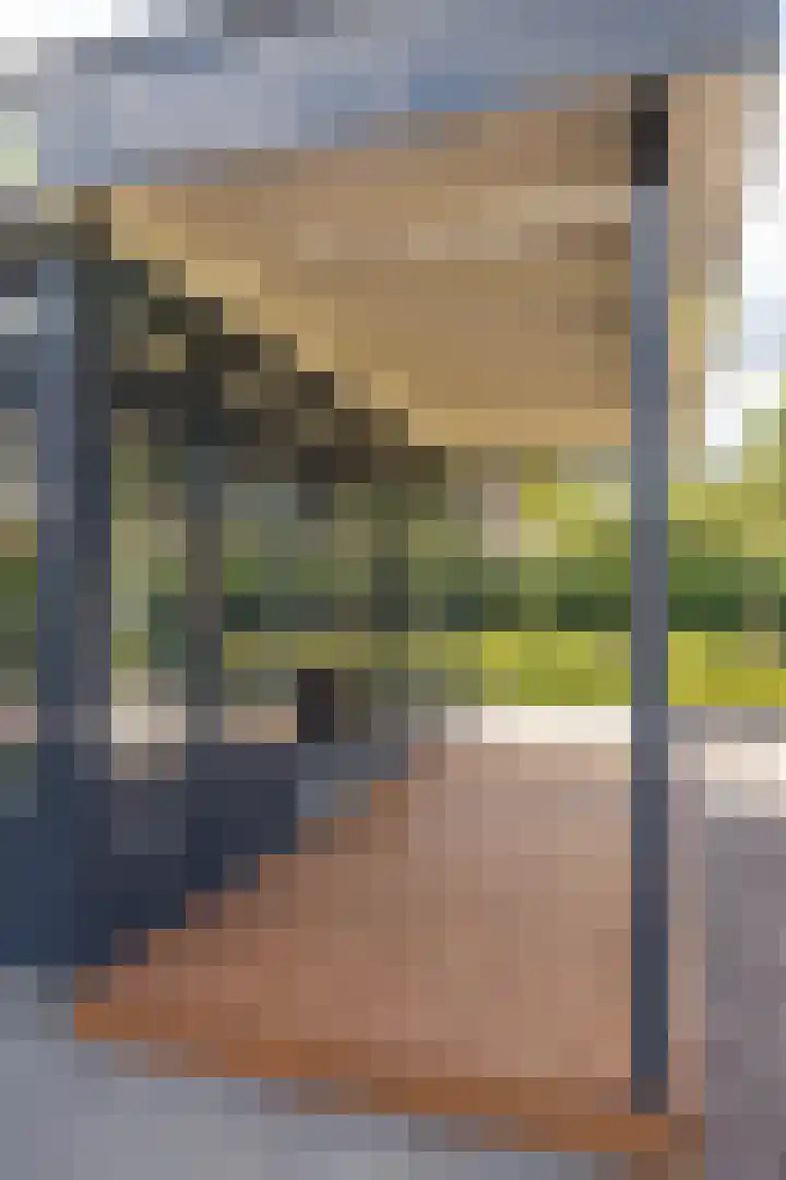 Hoofdweg 11 Zeegse thumbnail 6