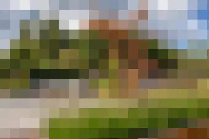 Hoofdweg 11 Zeegse thumbnail 7