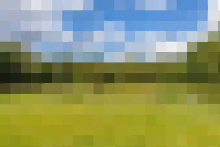 Hoofdweg 11 Zeegse thumbnail 8