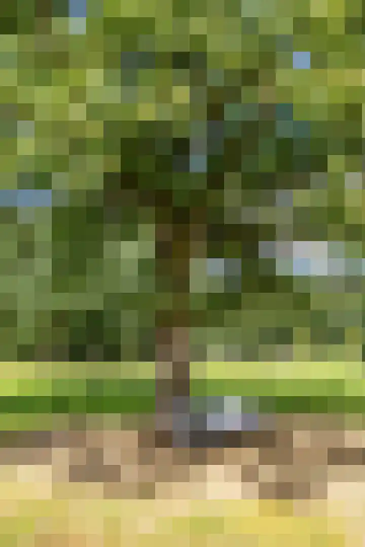 Hoofdweg 11 Zeegse thumbnail 9
