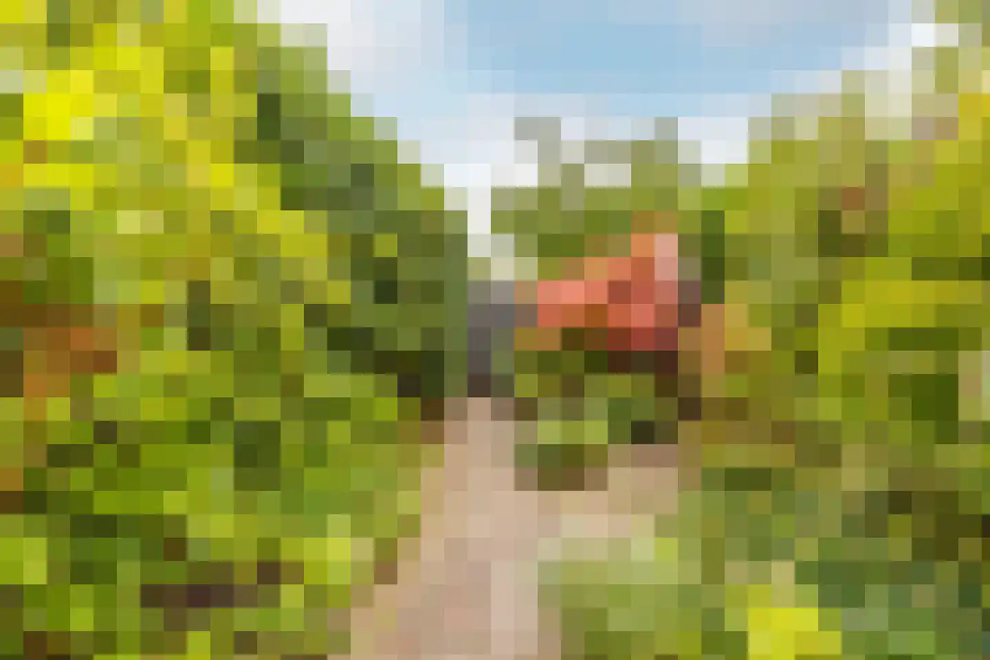 Hoofdweg 1103 Nieuw-Vennep thumbnail 15