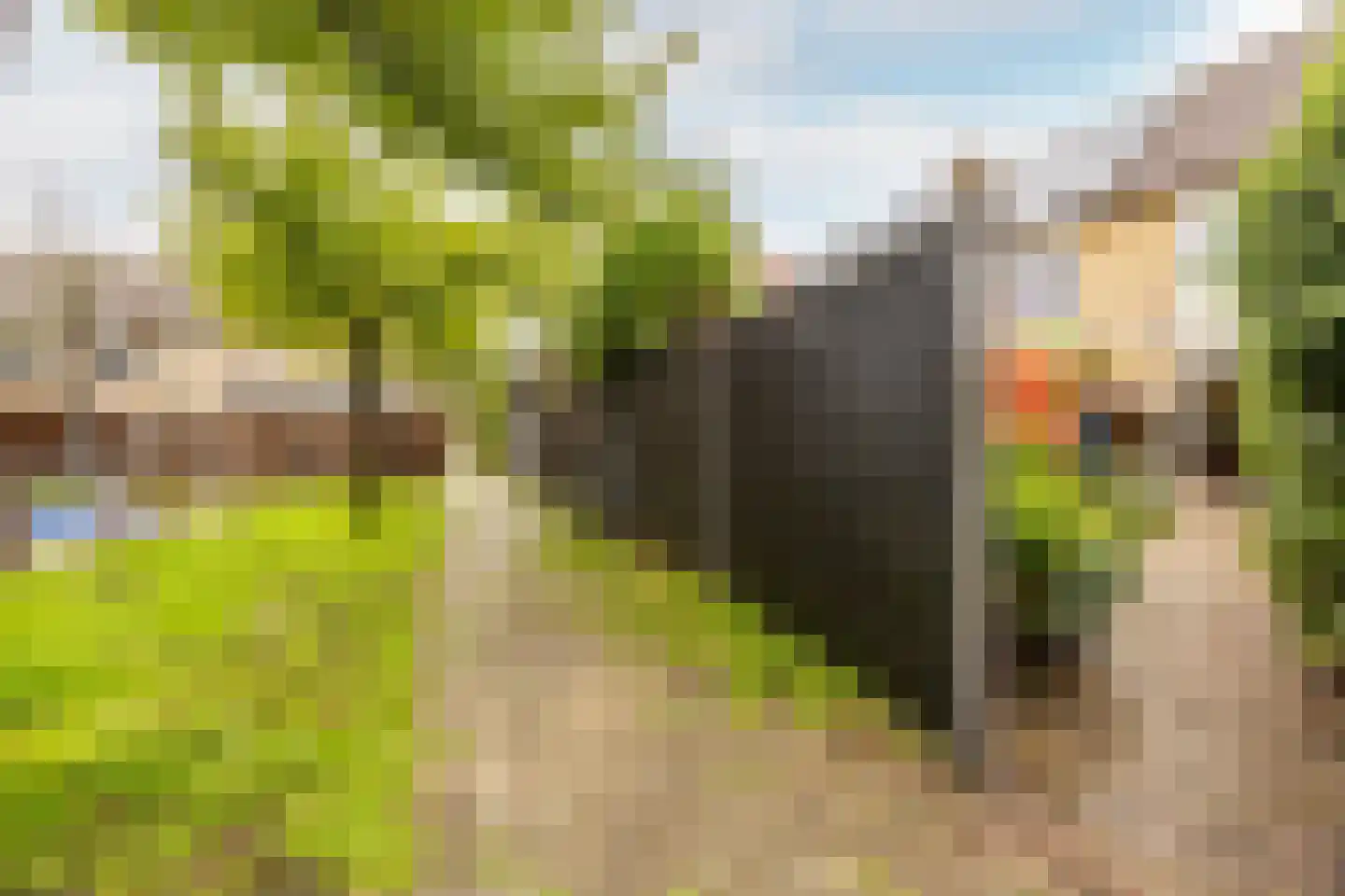 Hoofdweg 1103 Nieuw-Vennep thumbnail 16