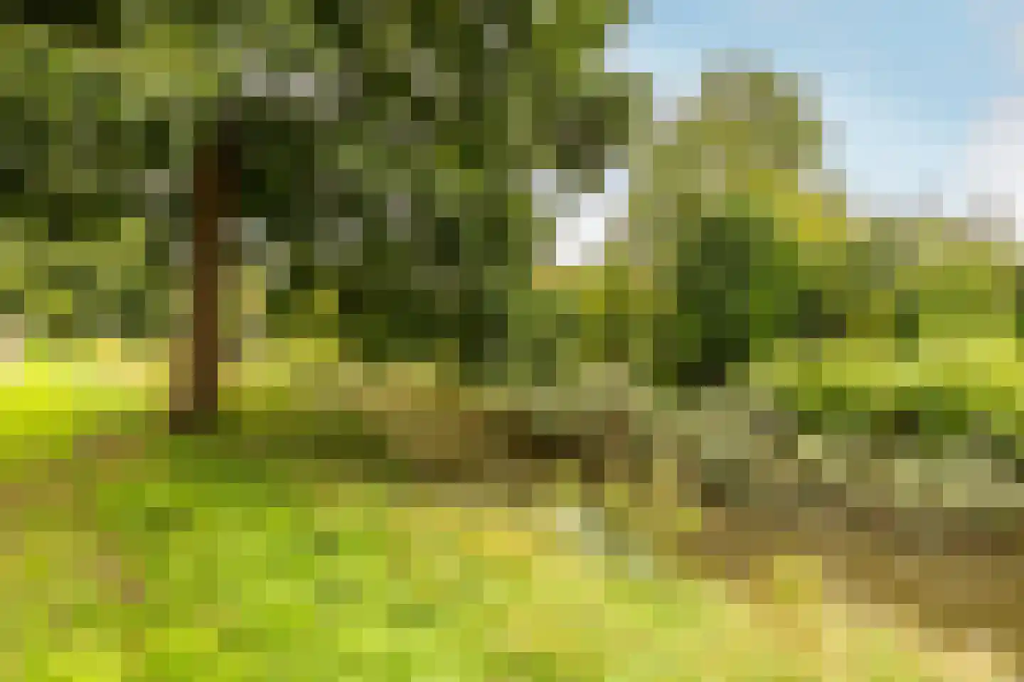 Hoofdweg 1103 Nieuw-Vennep thumbnail 29