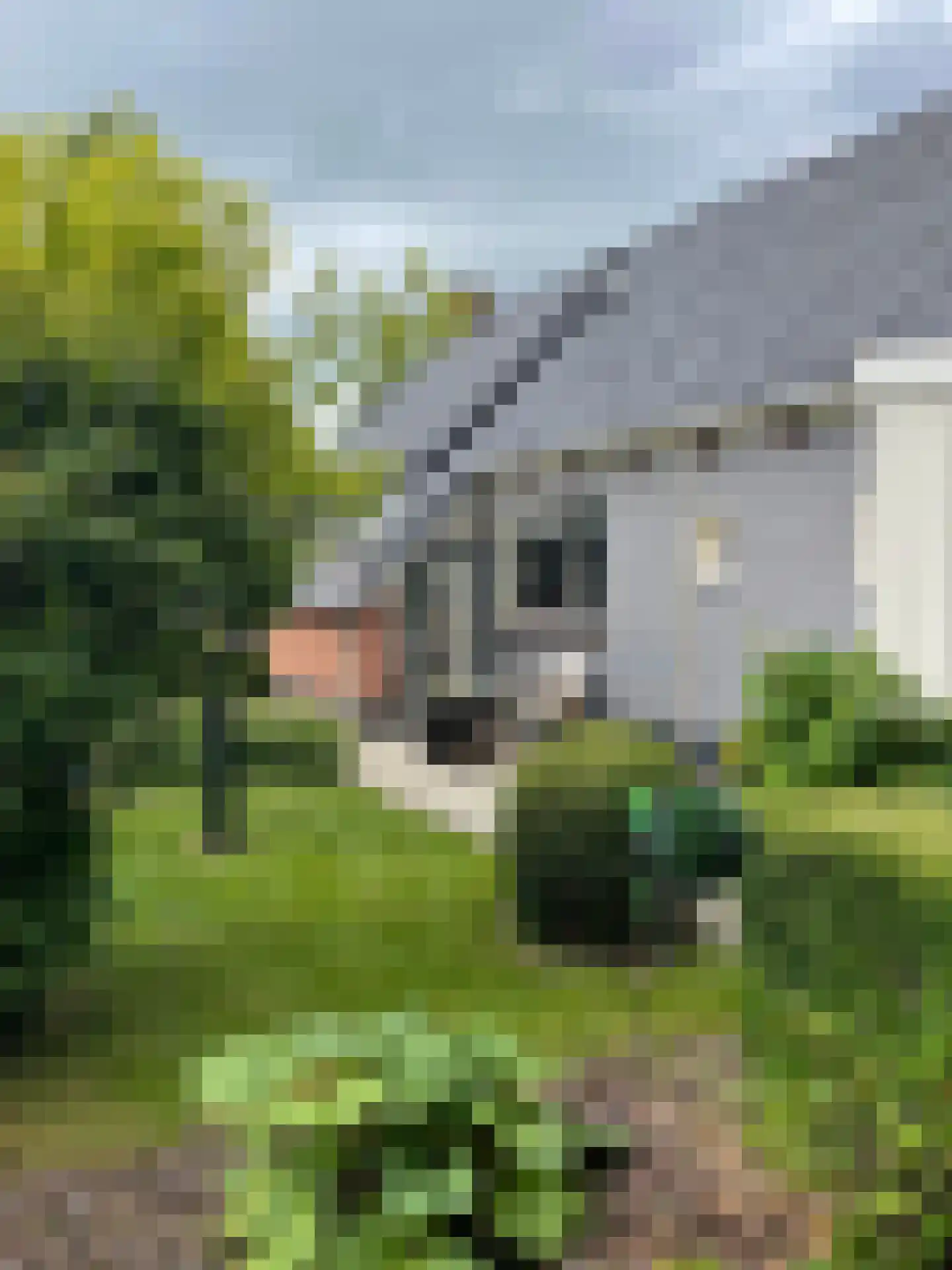 Hoofdweg 111 Westerlee thumbnail 10