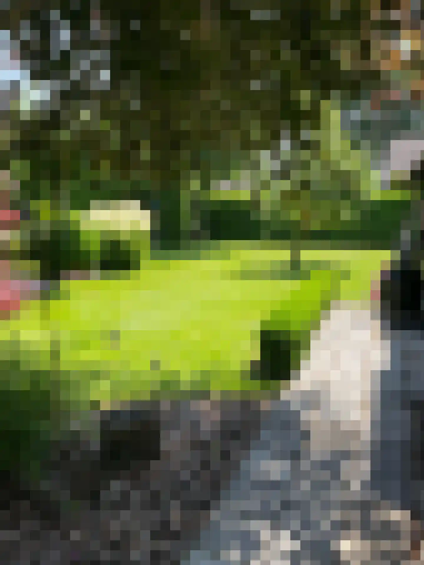 Hoofdweg 111 Westerlee thumbnail 11