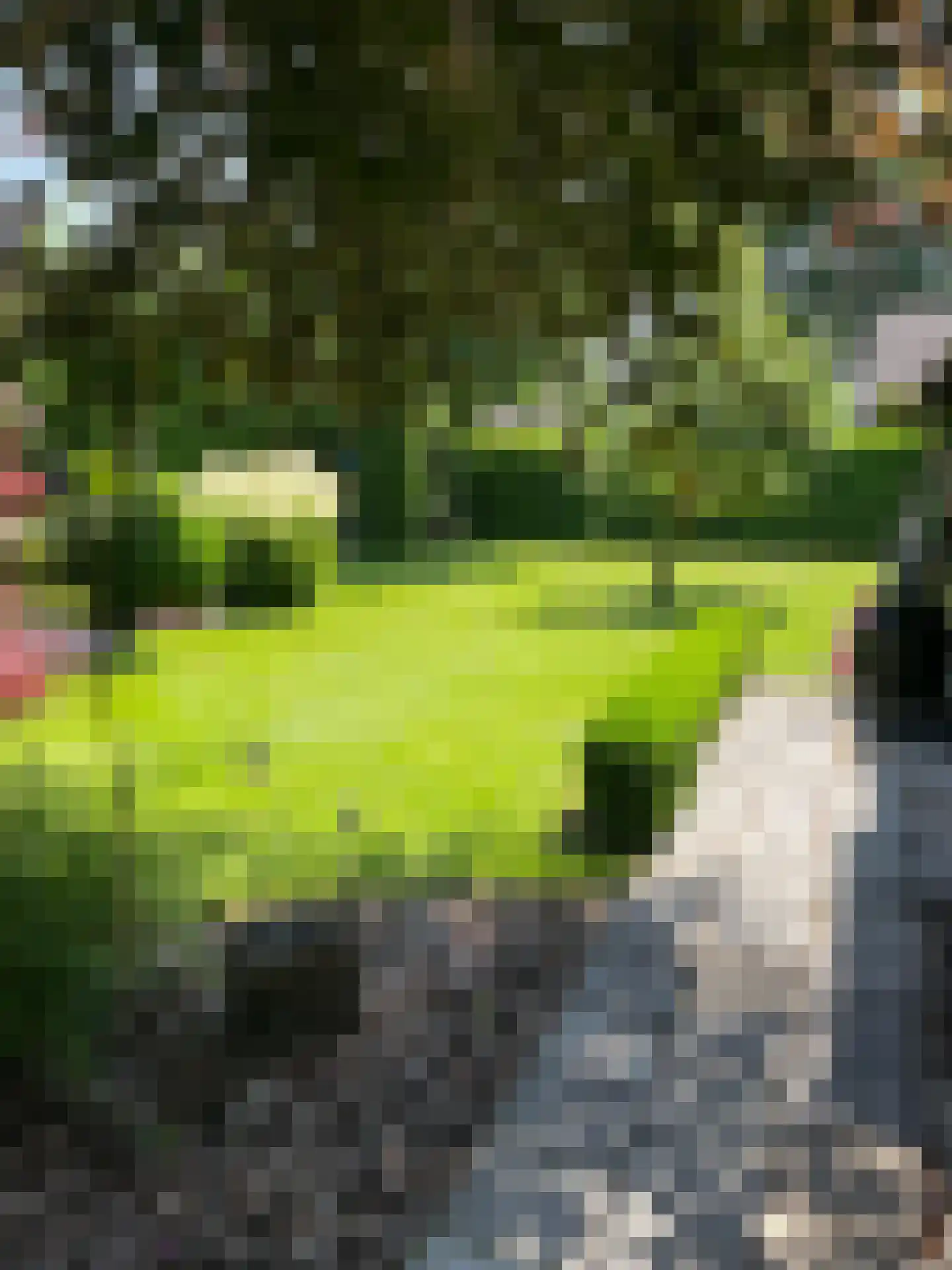 Hoofdweg 111 Westerlee thumbnail 12