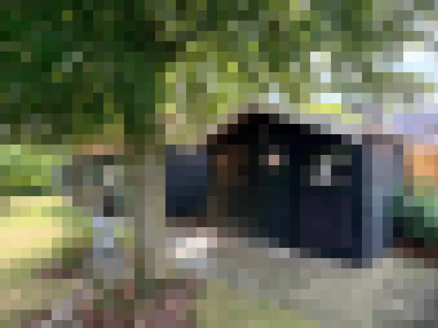 Hoofdweg 111 Westerlee thumbnail 13