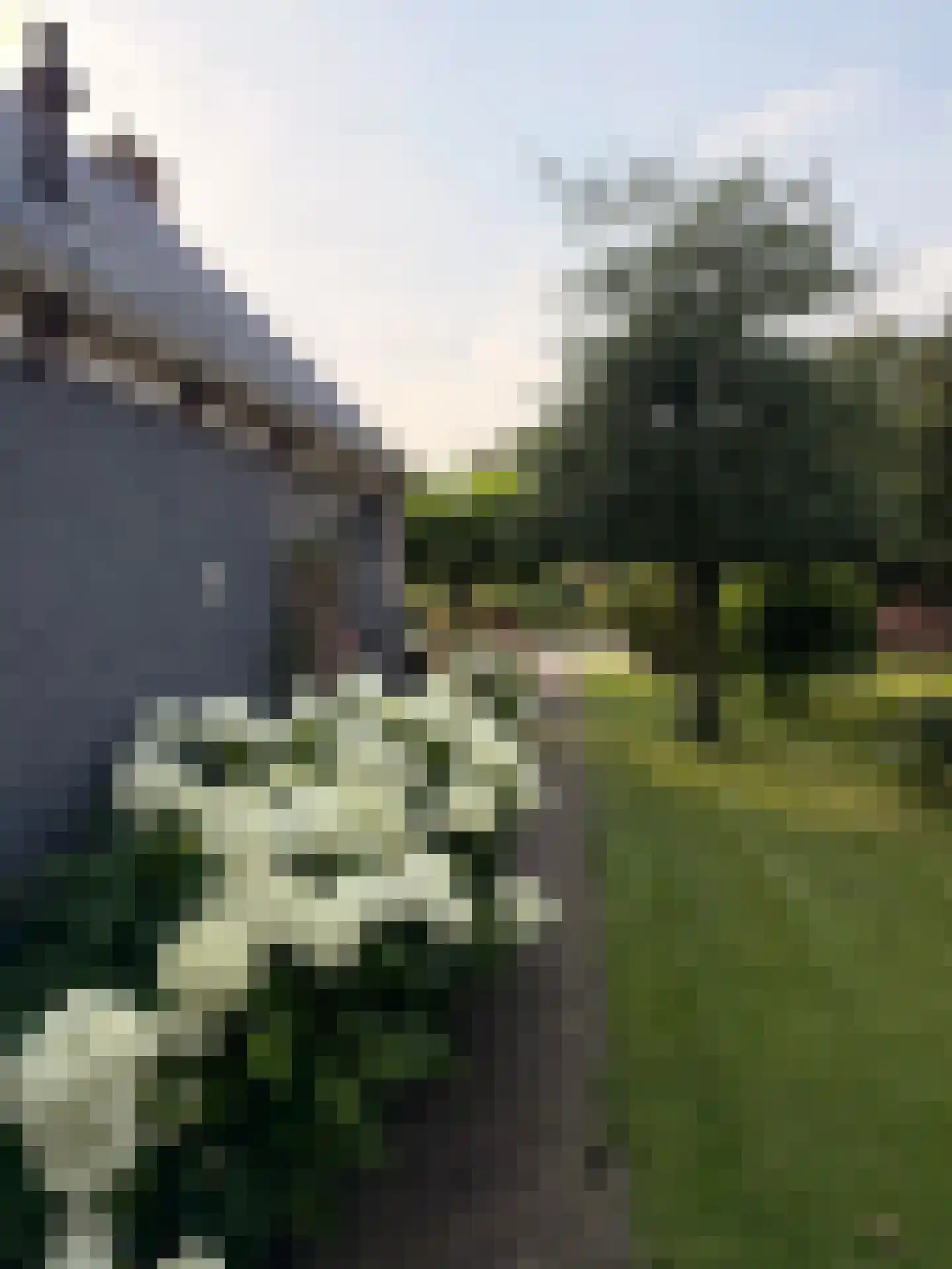 Hoofdweg 111 Westerlee thumbnail 37