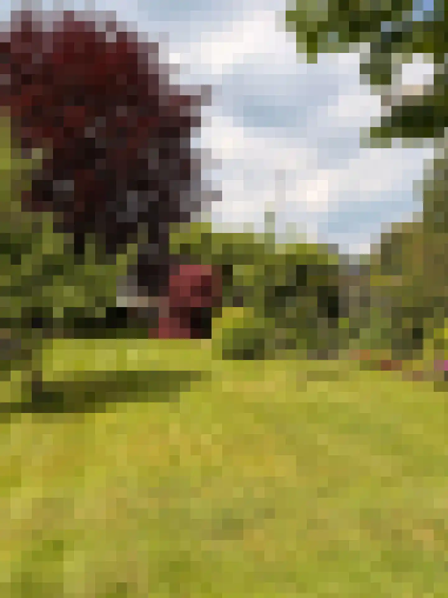 Hoofdweg 111 Westerlee thumbnail 7