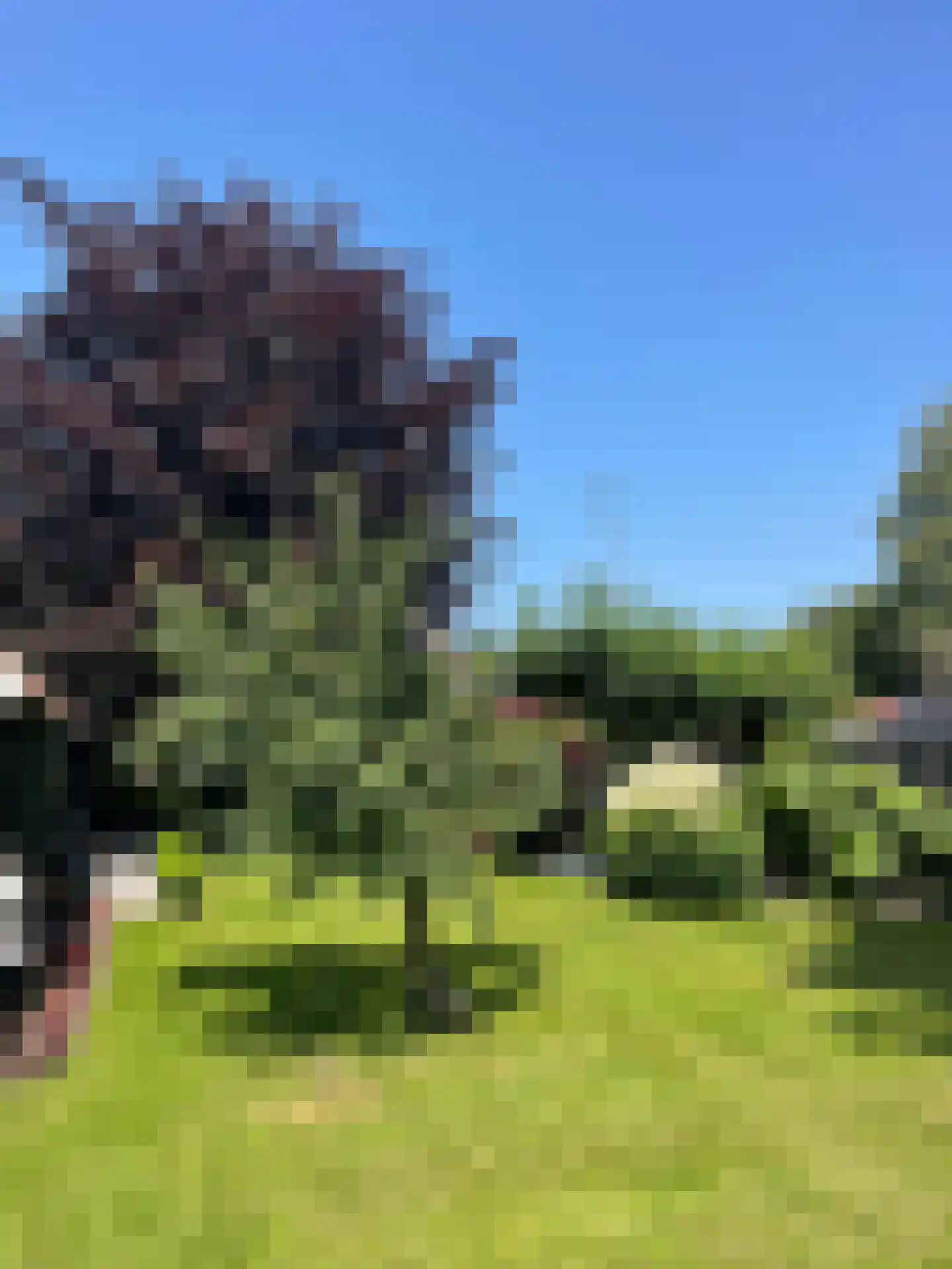 Hoofdweg 111 Westerlee thumbnail 7