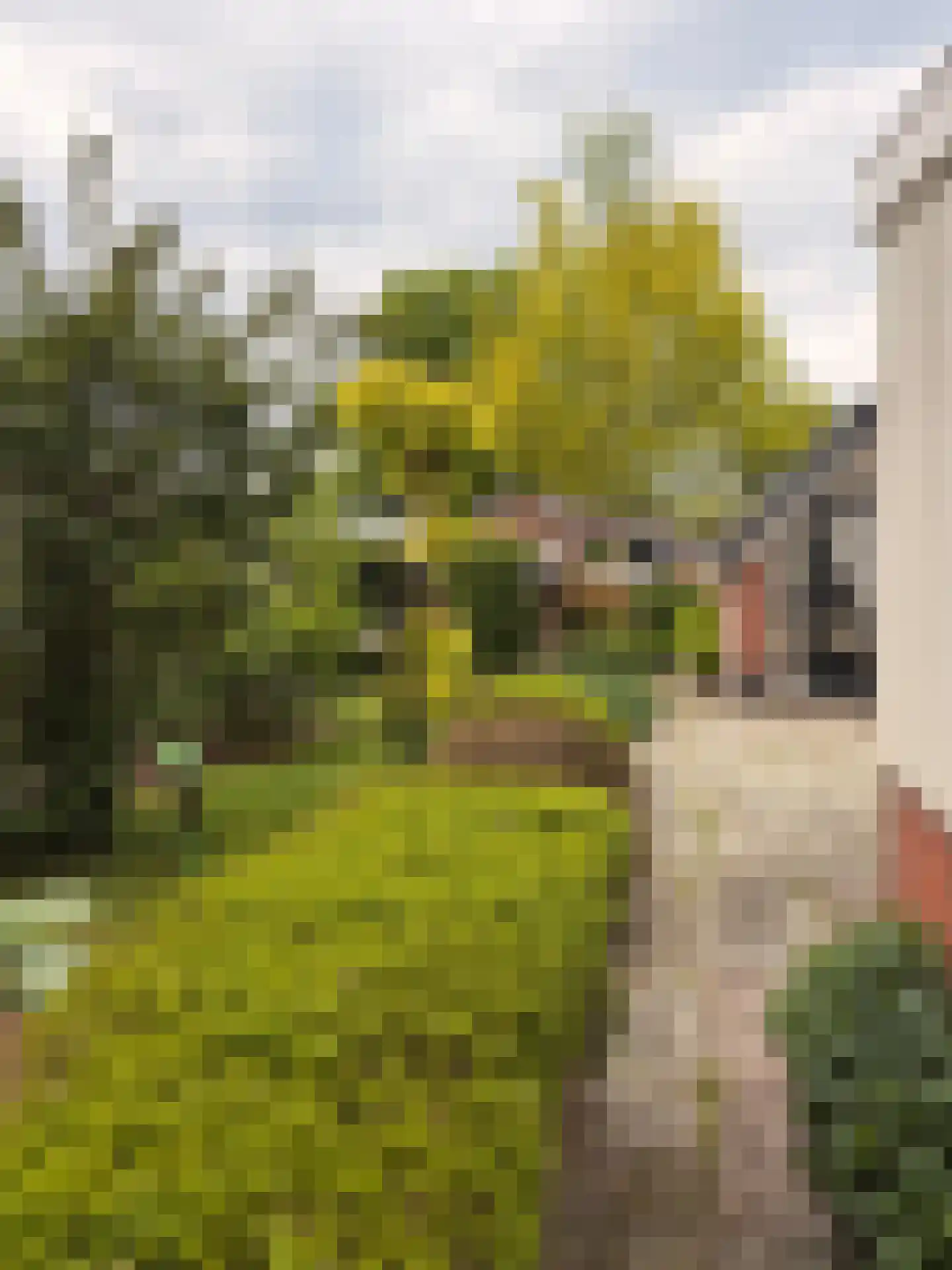 Hoofdweg 111 Westerlee thumbnail 8