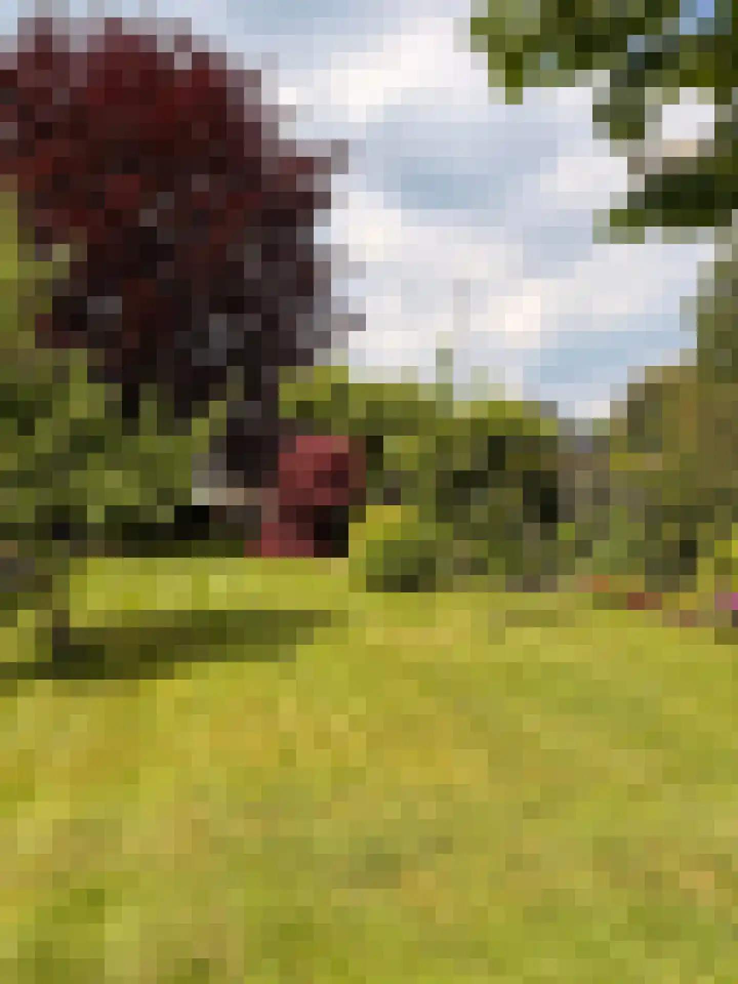 Hoofdweg 111 Westerlee thumbnail 8